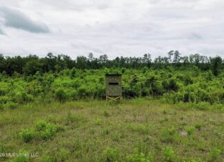 63.75 AC Amite County, MS Hunting Property