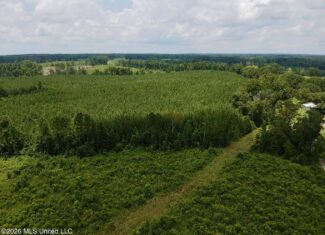 37 Acres for Sale in Morton, MS | Wooded Land