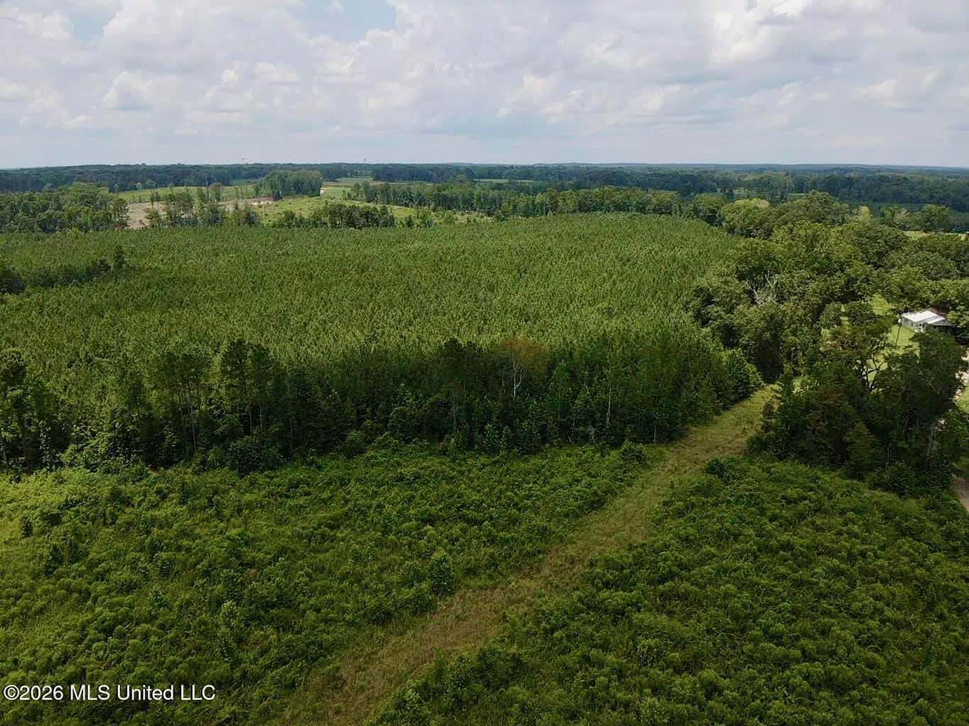 37 Acres for Sale in Morton, MS | Wooded Land