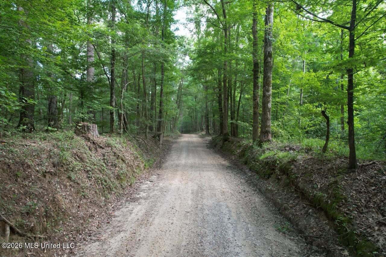 Wilkinson County, MS Hunting Club Membership
