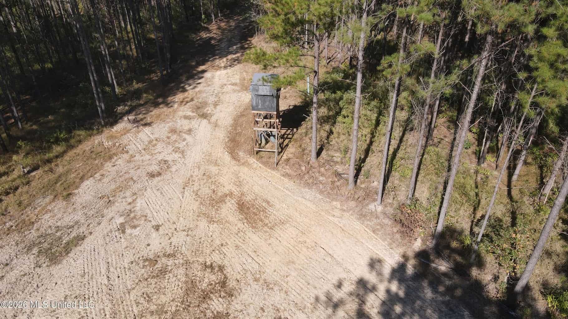 35 Acres for Sale in Pelahatchie, MS | Rankin County