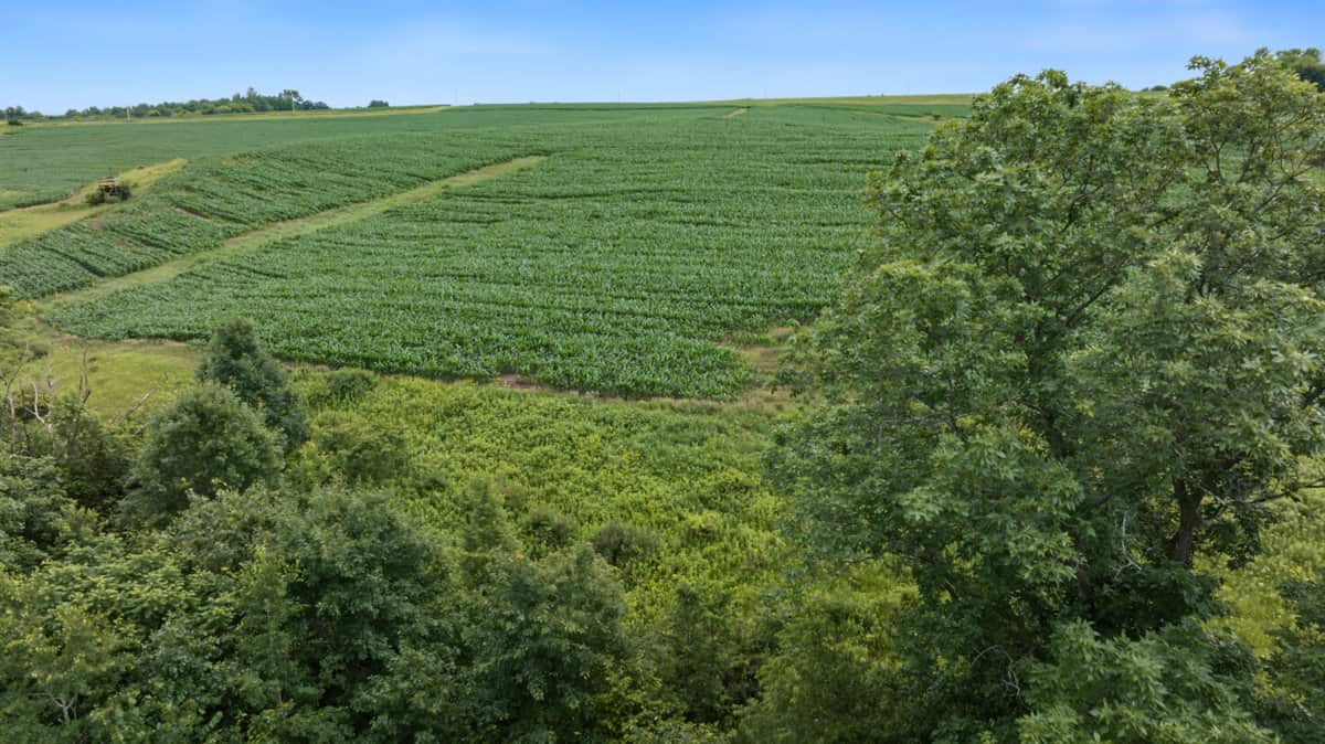Exceptional 40± acre farm and recreational property