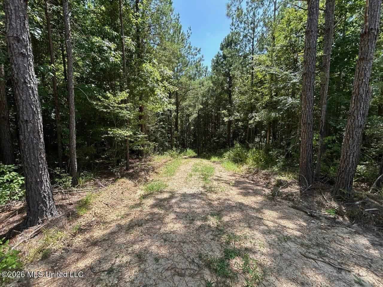 11± Acres in McCall Creek, MS with Creek Frontage