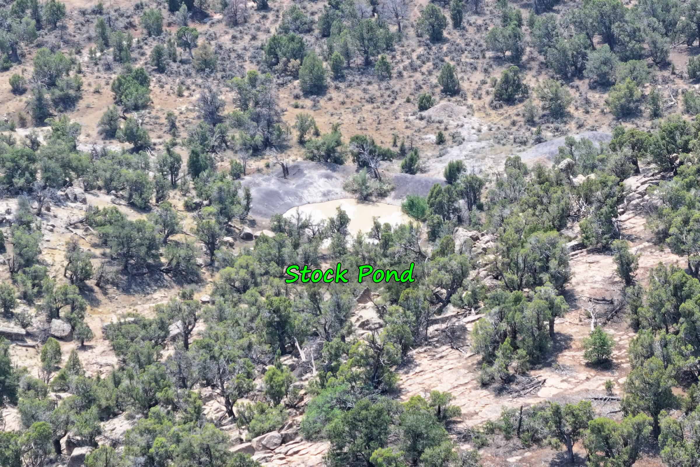 Cabin on 71 Acres in DeBeque Colorado