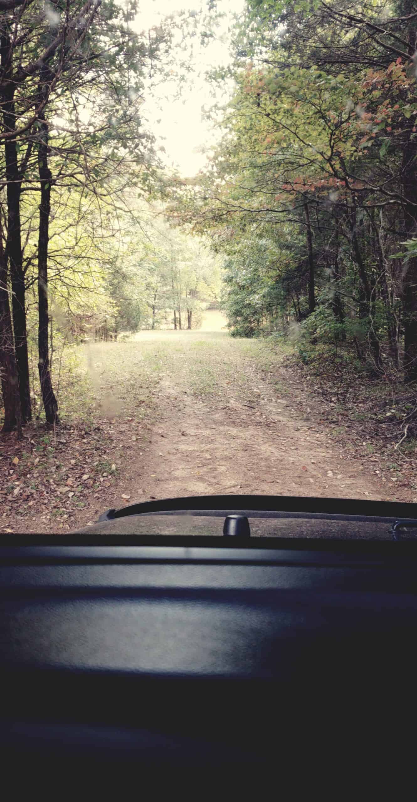 147 Acre Hunting Farm in Weakley County TN with Timber