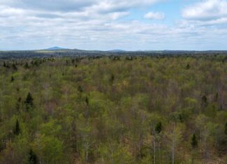 109.54 Acres of Maine Land with Brook Frontage