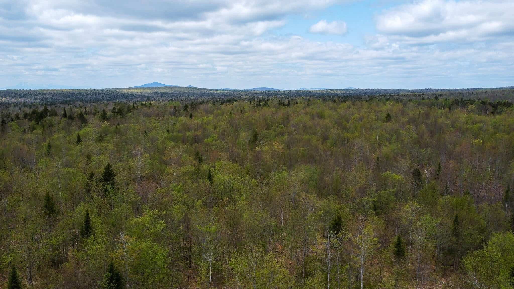 109.54 Acres of Maine Land with Brook Frontage