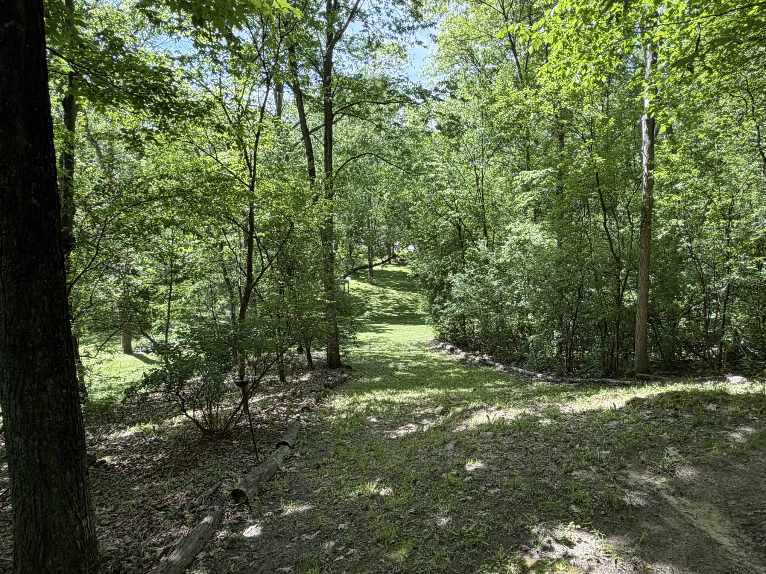 13.9 Wooded Acres, Log Home, SW Wisconsin Driftless Region For Sale