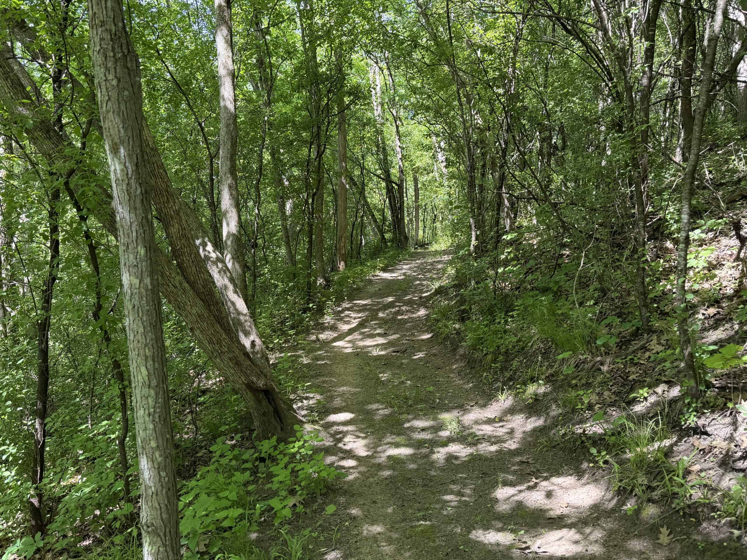 13.9 Wooded Acres, Log Home, SW Wisconsin Driftless Region For Sale