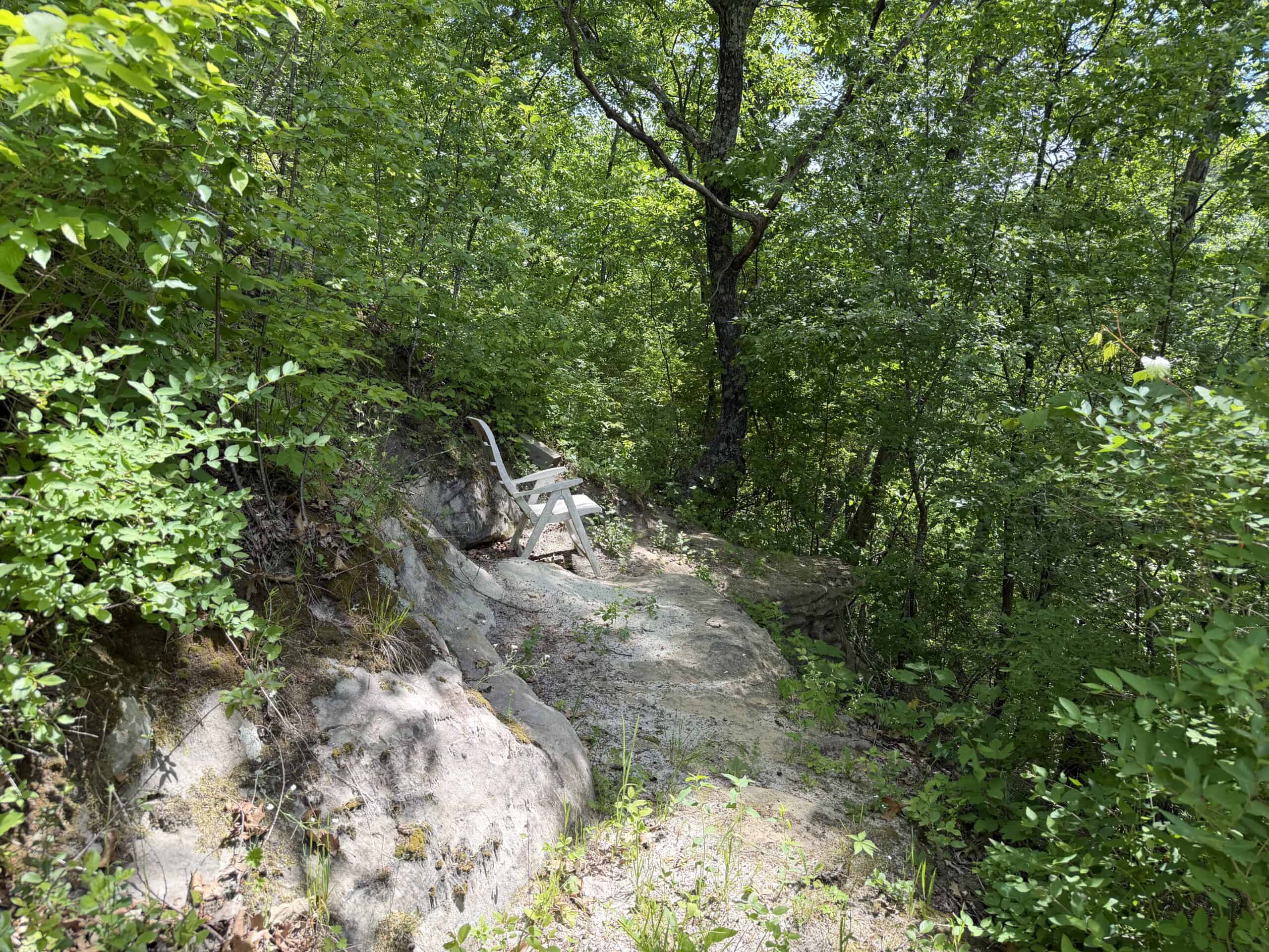 13.9 Wooded Acres, Log Home, SW Wisconsin Driftless Region For Sale