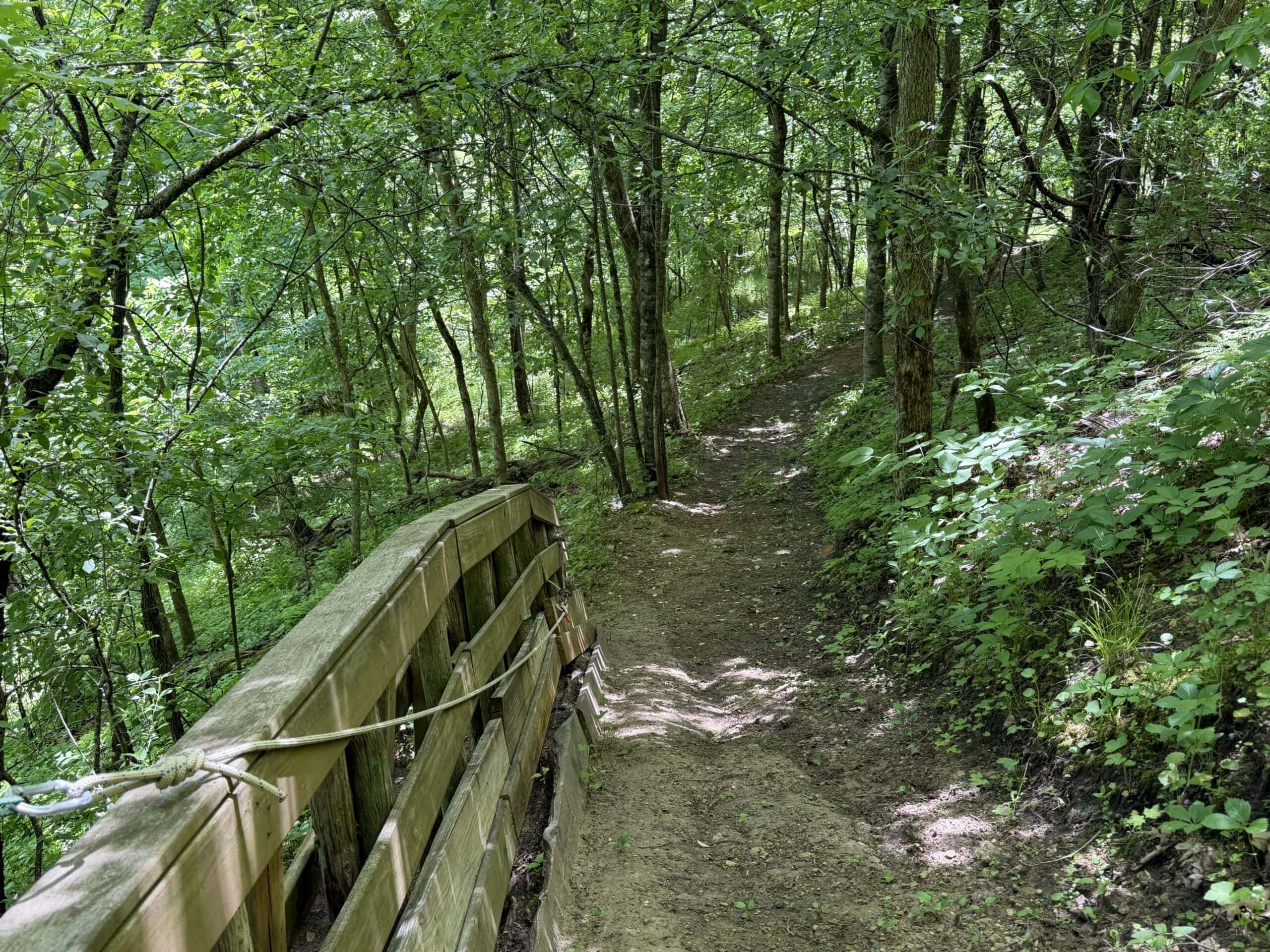 13.9 Wooded Acres, Log Home, SW Wisconsin Driftless Region For Sale