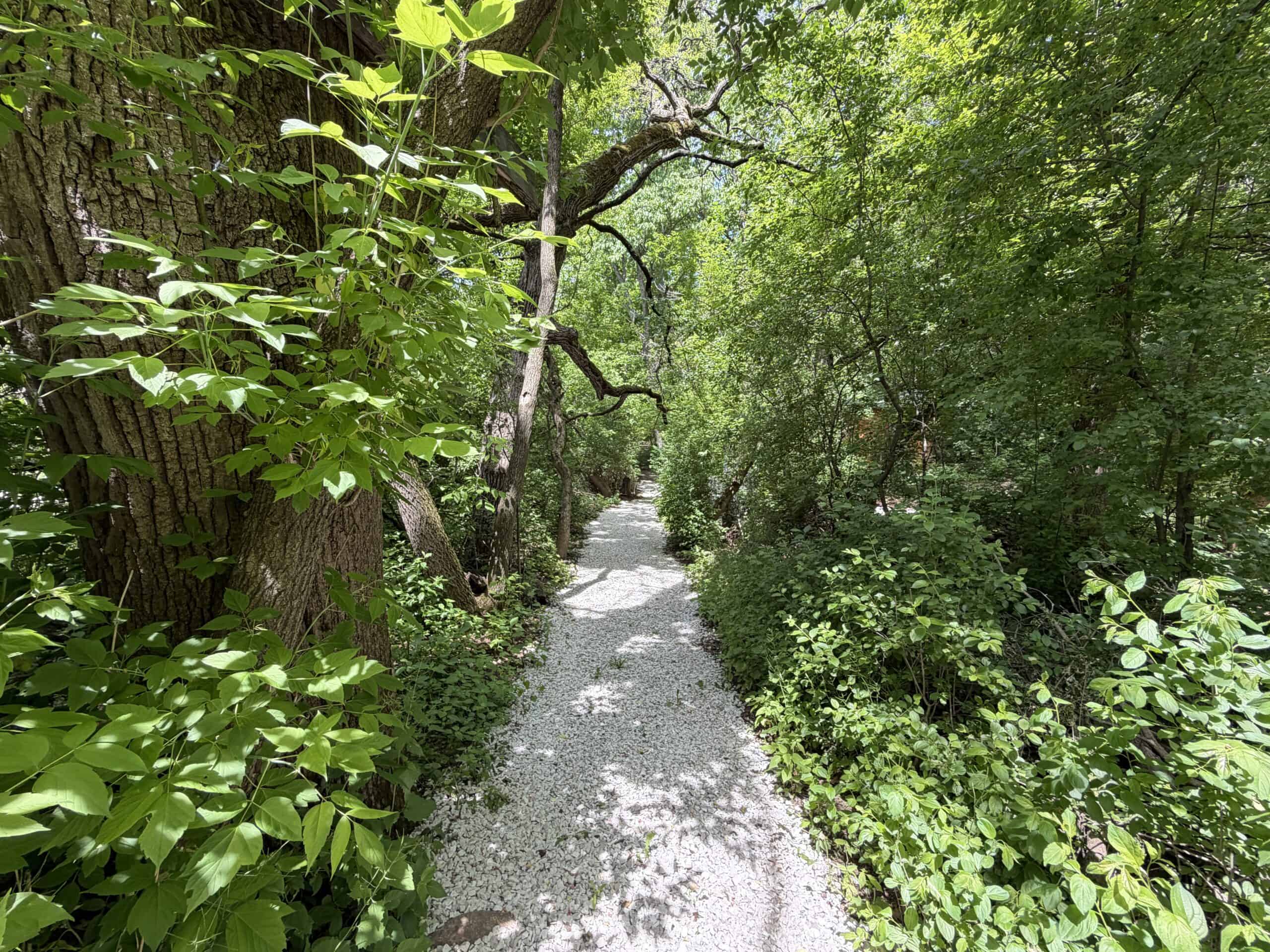 13.9 Wooded Acres, Log Home, SW Wisconsin Driftless Region For Sale