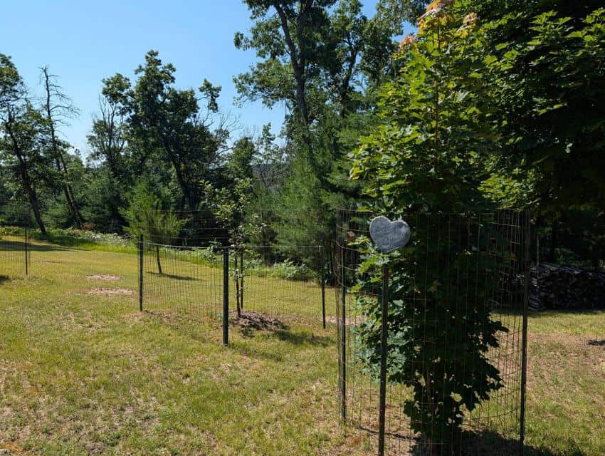 Updated Canada Creek Ranch Cabin on Three Lots Atlanta MI
