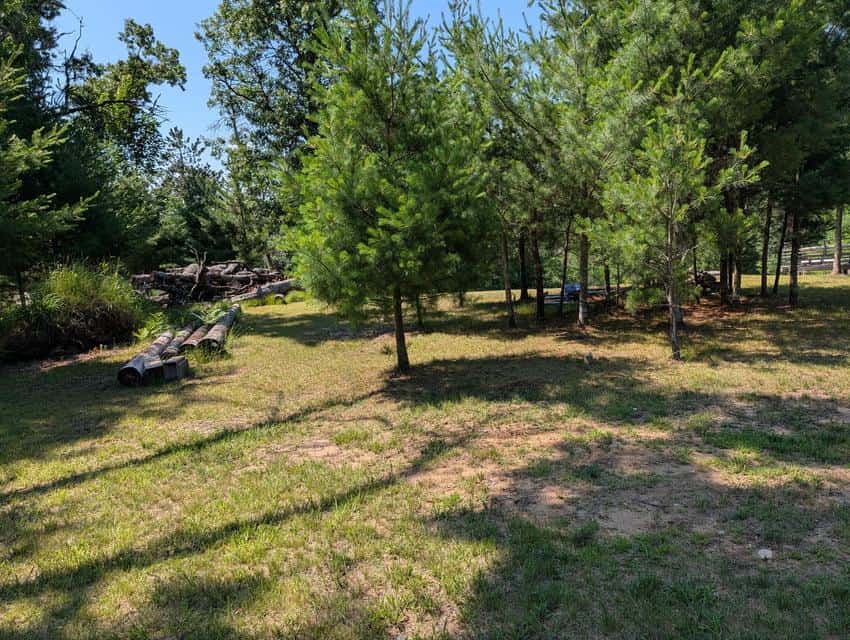 Updated Canada Creek Ranch Cabin on Three Lots Atlanta MI