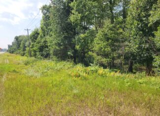 Prime whitetail deer hunting Waushara County WI