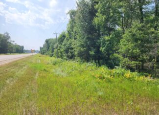 Prime whitetail deer hunting Waushara County WI