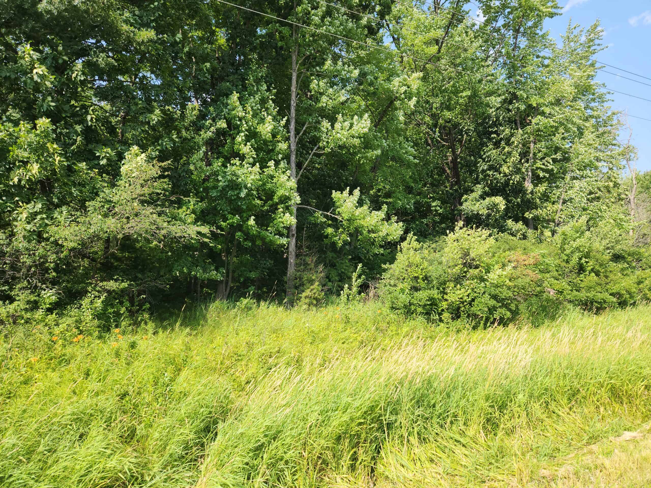 Prime whitetail deer hunting Waushara County WI