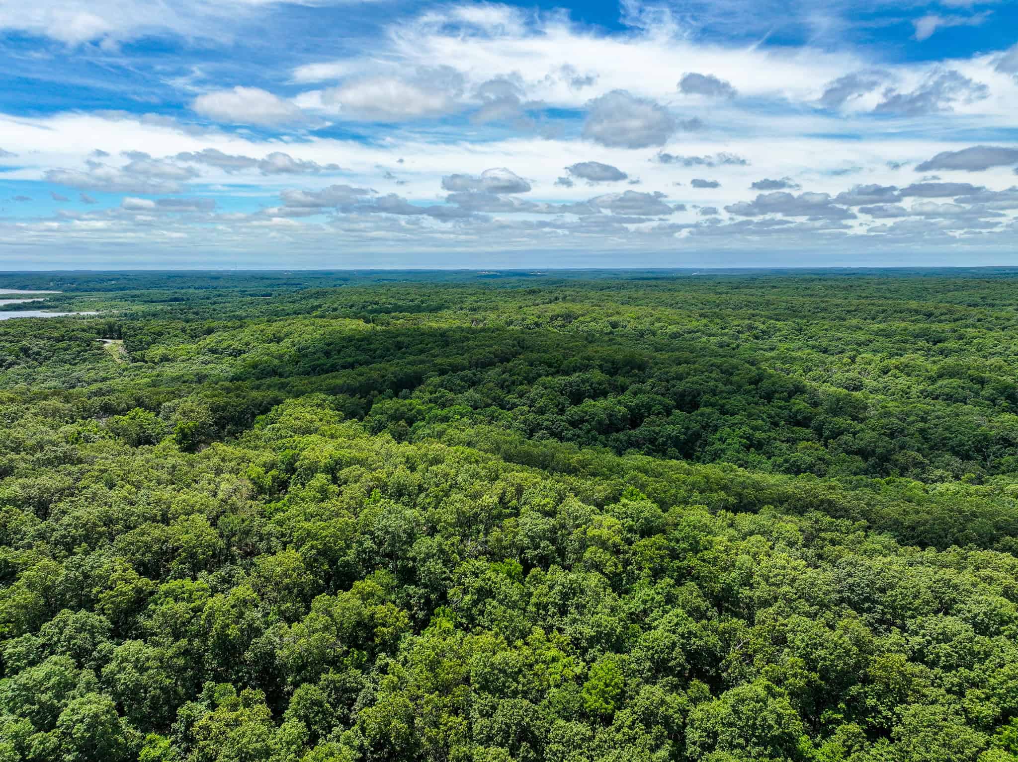 Truman Lake Hunting Property