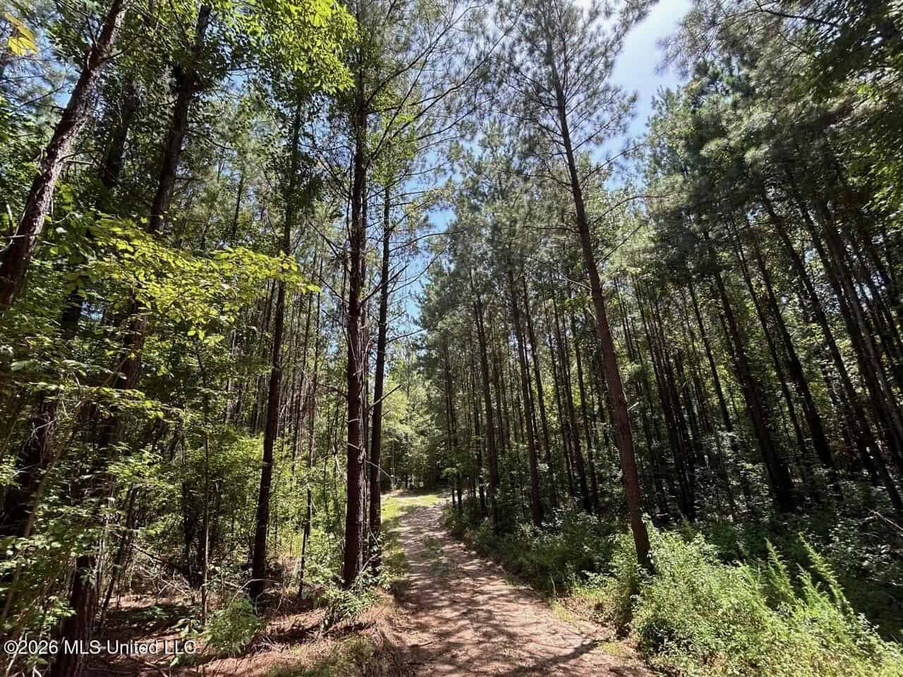 11± Acres in McCall Creek, MS with Creek Frontage