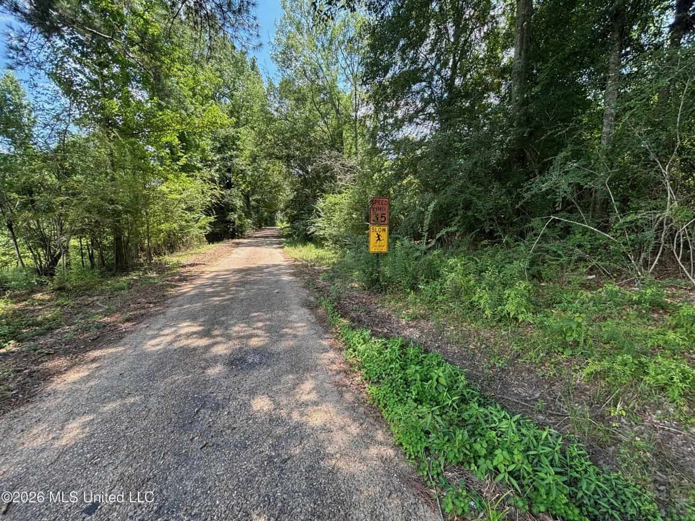 37 Acres for Sale in Morton, MS | Wooded Land
