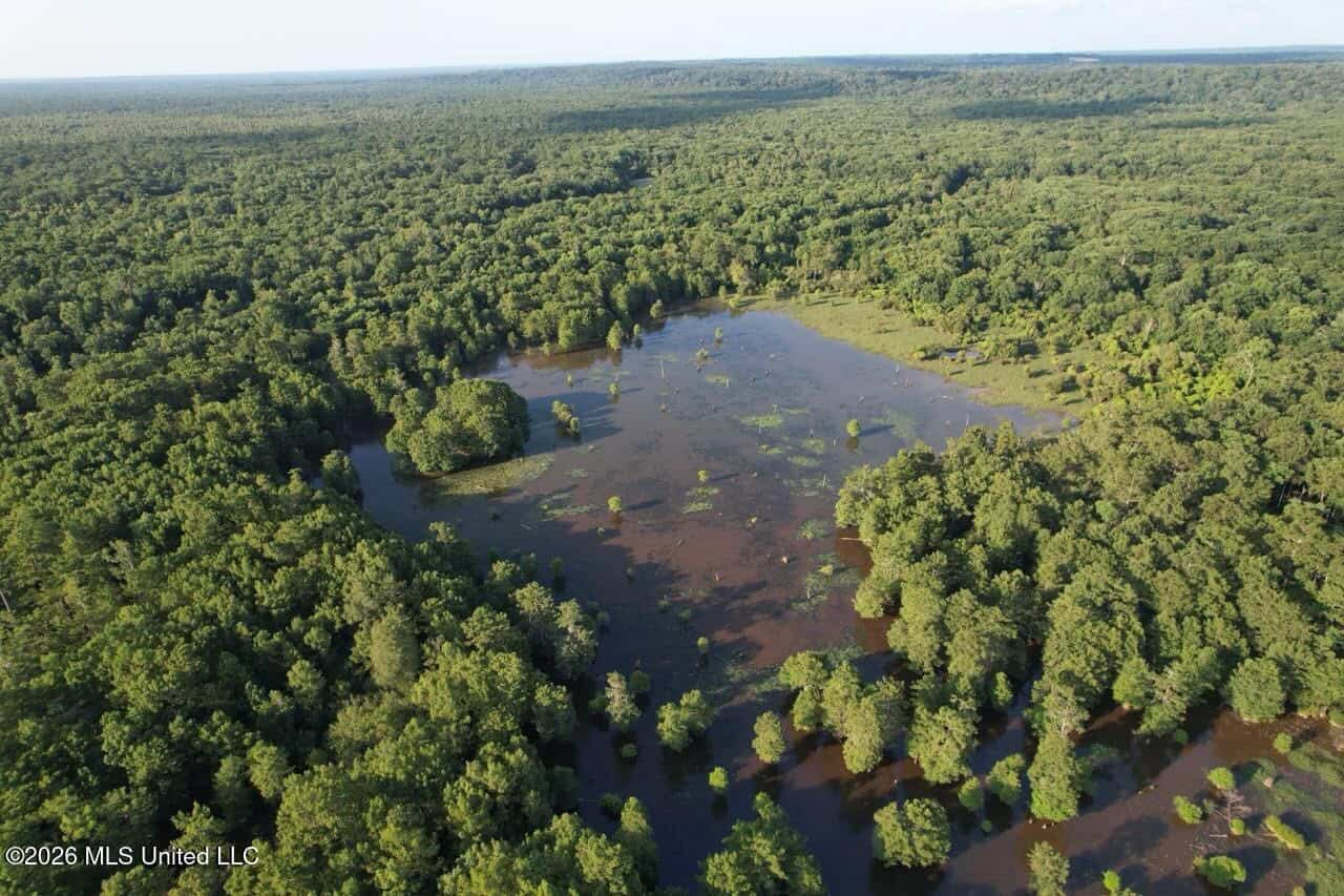 Wilkinson County, MS Hunting Club Membership