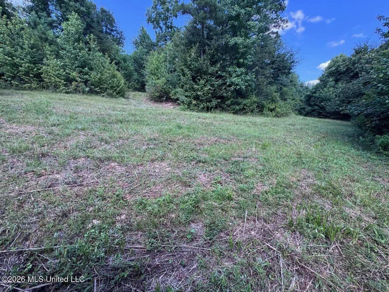 45± Acres in Aimwell, LA with Ford Creek Frontage
