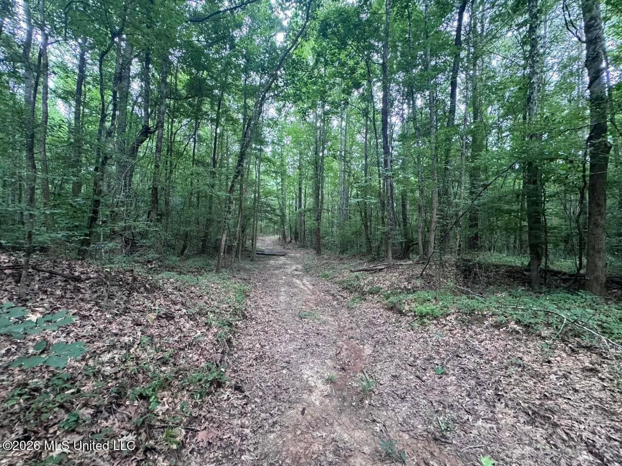 98± Acres in Natchez, MS on Second Creek