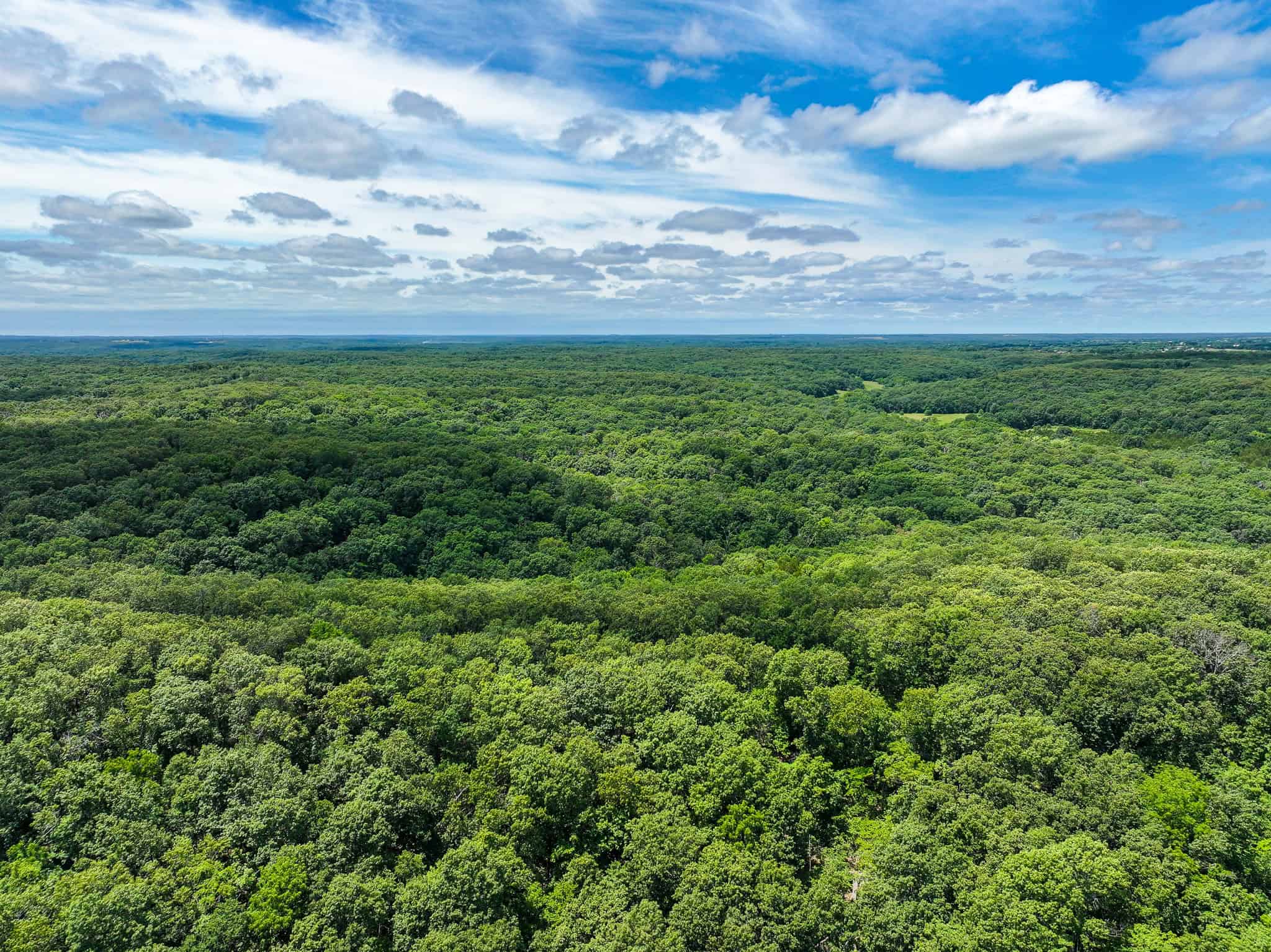 Truman Lake Hunting Property