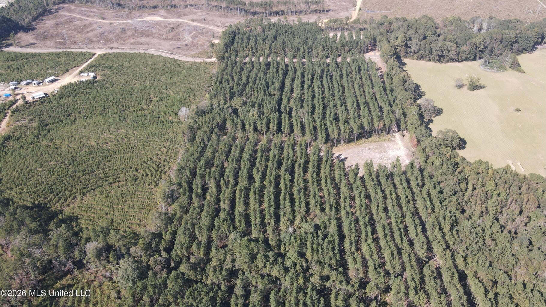 35 Acres for Sale in Pelahatchie, MS | Rankin County