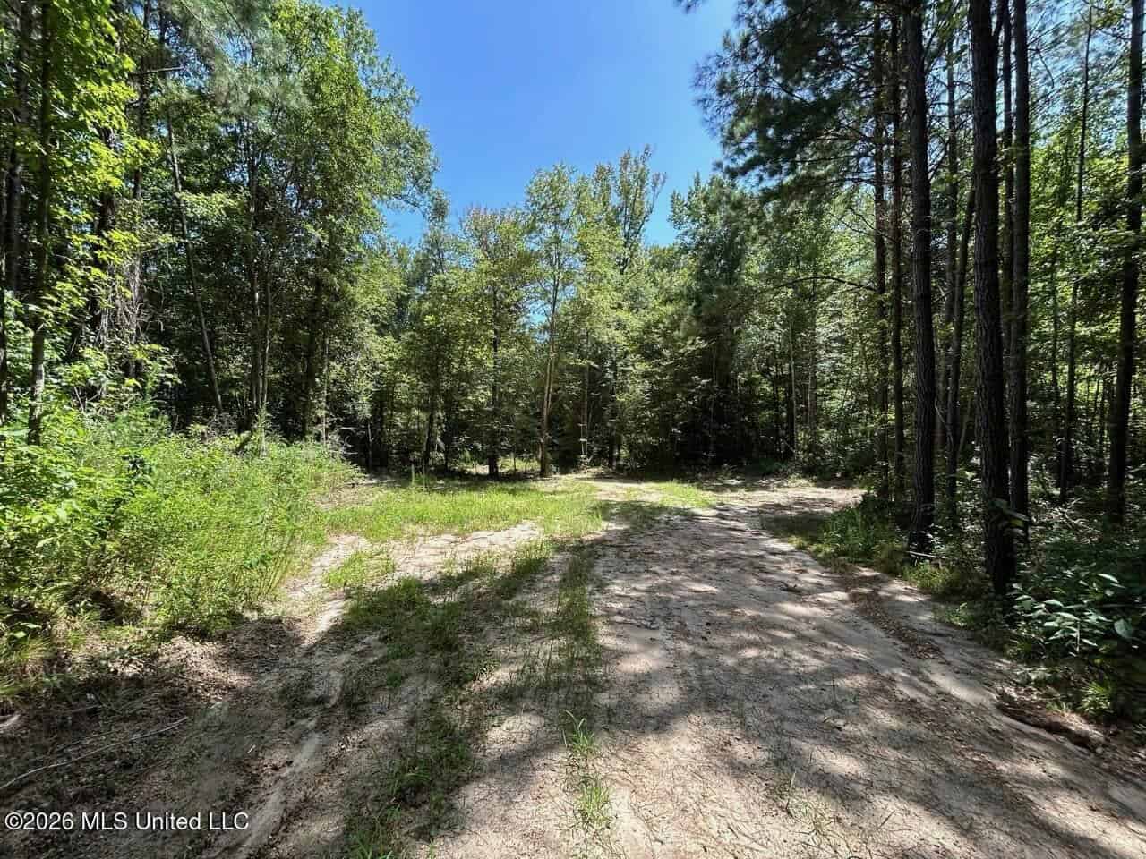 11± Acres in McCall Creek, MS with Creek Frontage