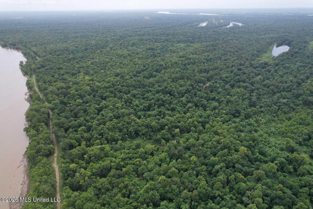 140± Acres in West Feliciana Parish, LA