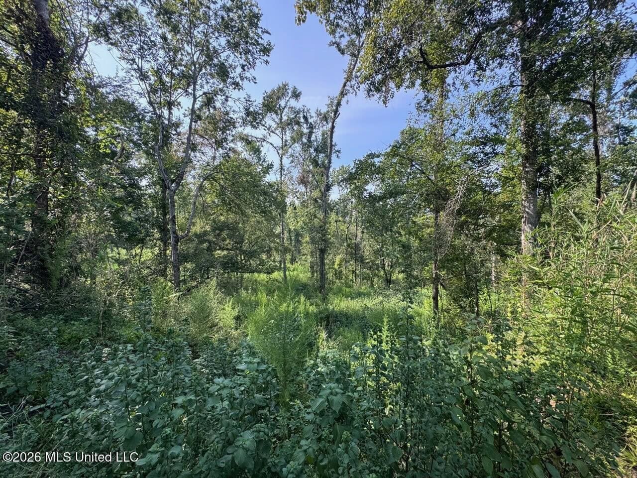 375± Acres in Jefferson County, MS Near Natchez Trace