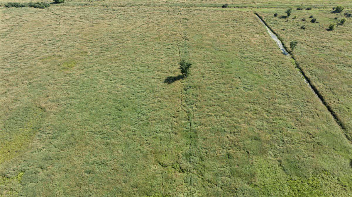 Wisconsin Conservation Land for Sale | 97± Acres in Monroe County