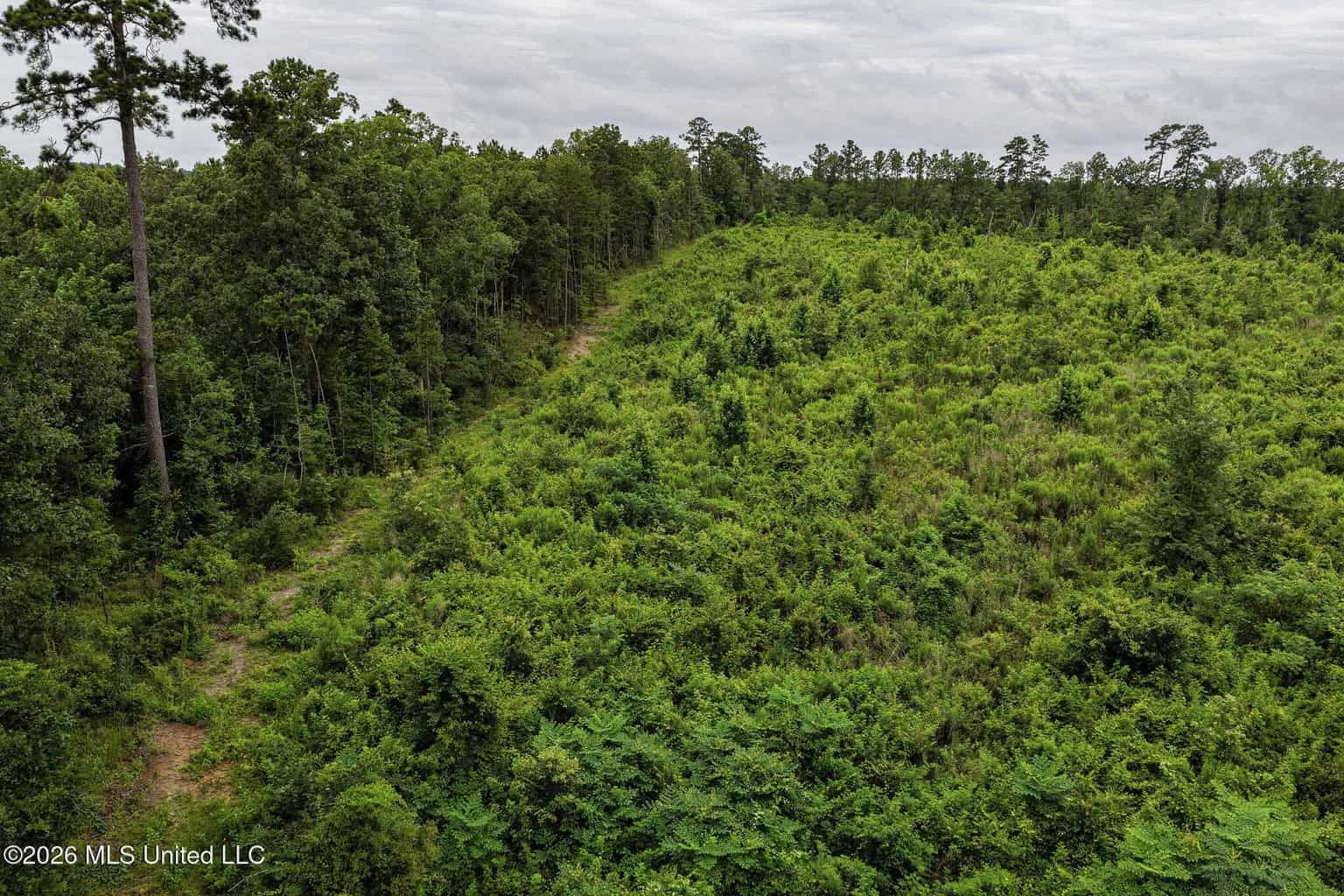 63.75 AC Amite County, MS Hunting Property