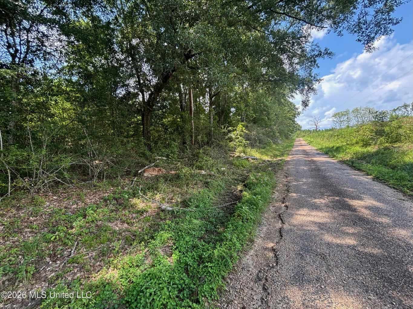 37 Acres for Sale in Morton, MS | Wooded Land