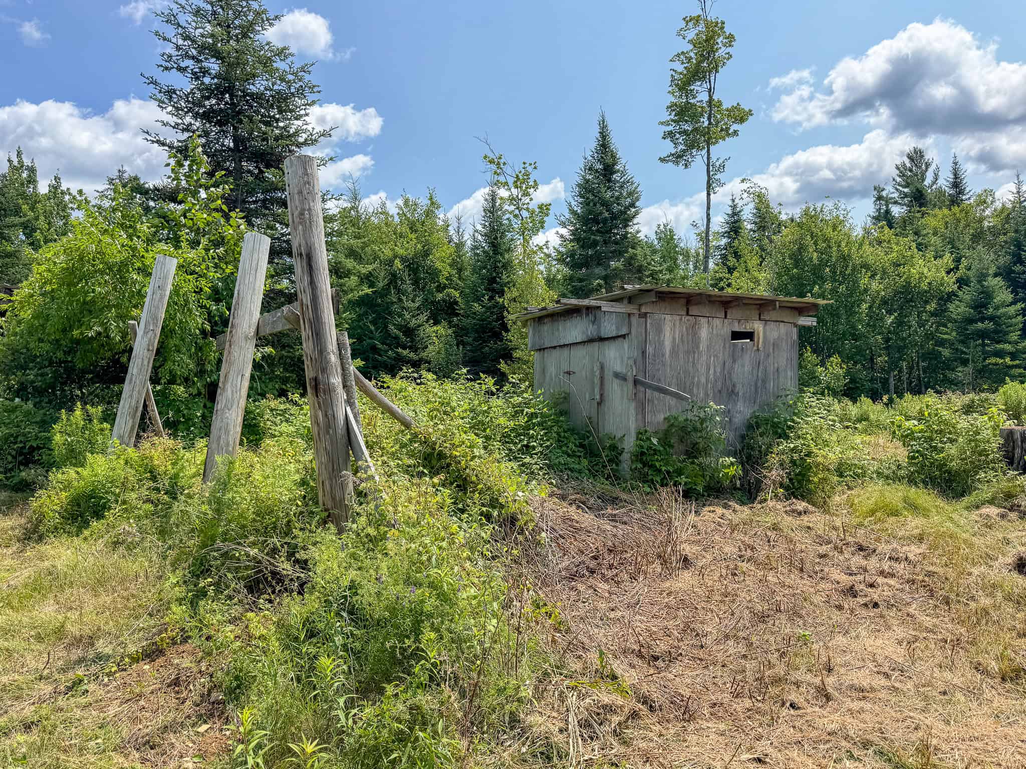 Your Maine Escape – 67 Acres with Cabin, Power, & ATV Access