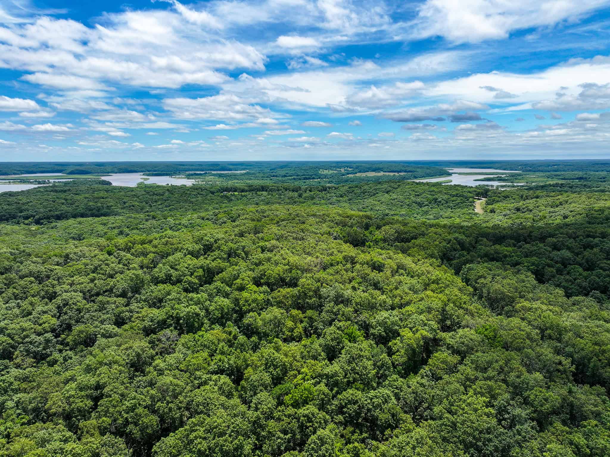 Truman Lake Hunting Property