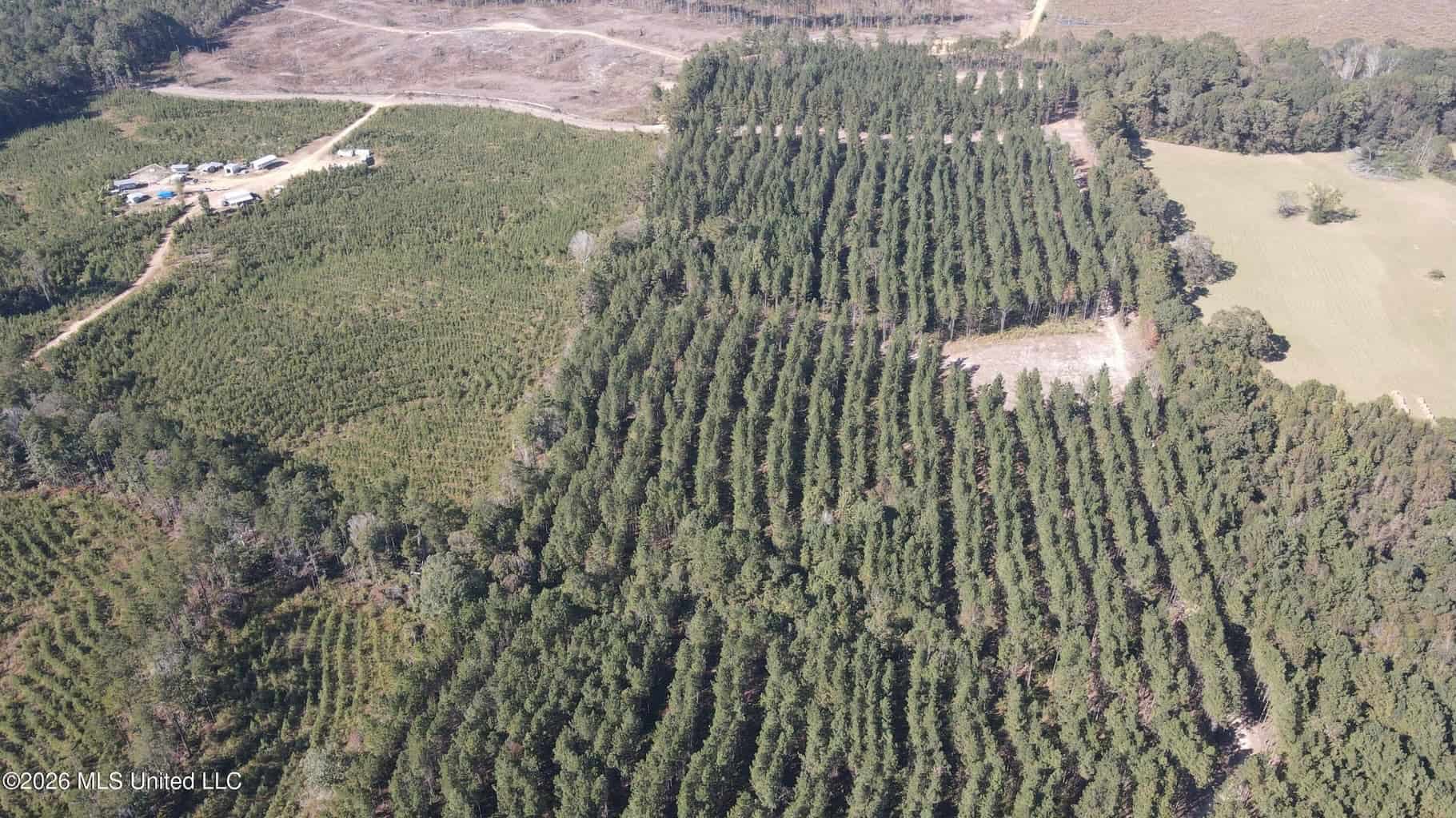 35 Acres for Sale in Pelahatchie, MS | Rankin County
