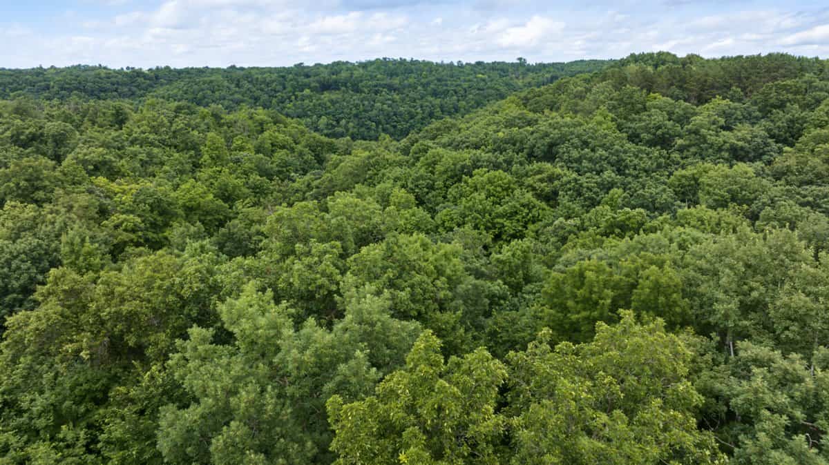 Exceptional 40± acre farm and recreational property