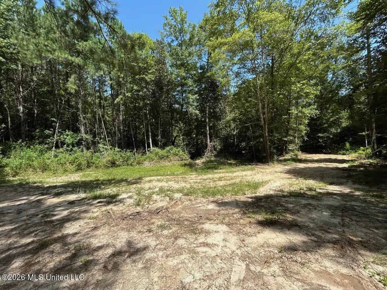 11± Acres in McCall Creek, MS with Creek Frontage