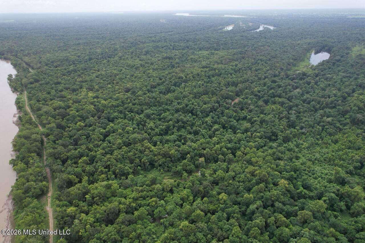 140± Acres in West Feliciana Parish, LA
