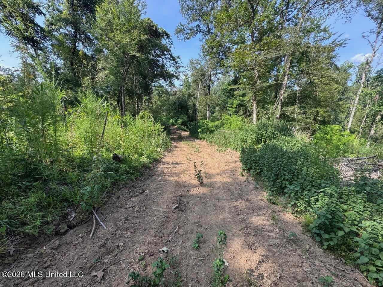 375± Acres in Jefferson County, MS Near Natchez Trace