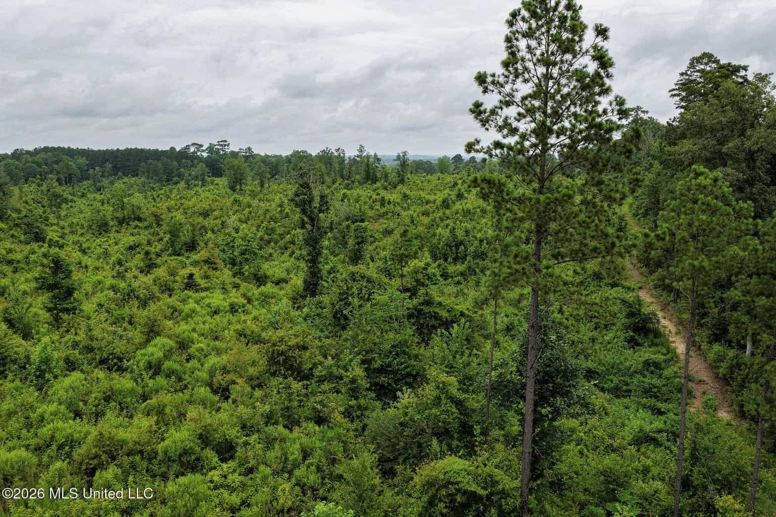 63.75 AC Amite County, MS Hunting Property