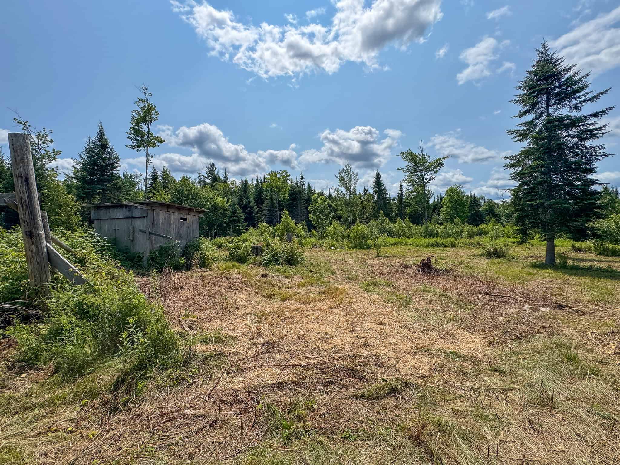 Your Maine Escape – 67 Acres with Cabin, Power, & ATV Access