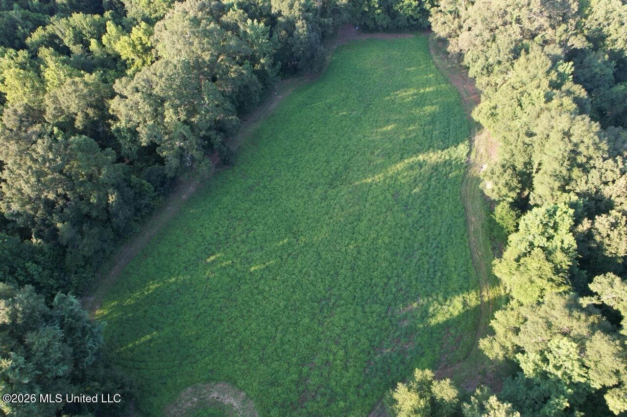 Wilkinson County, MS Hunting Club Membership