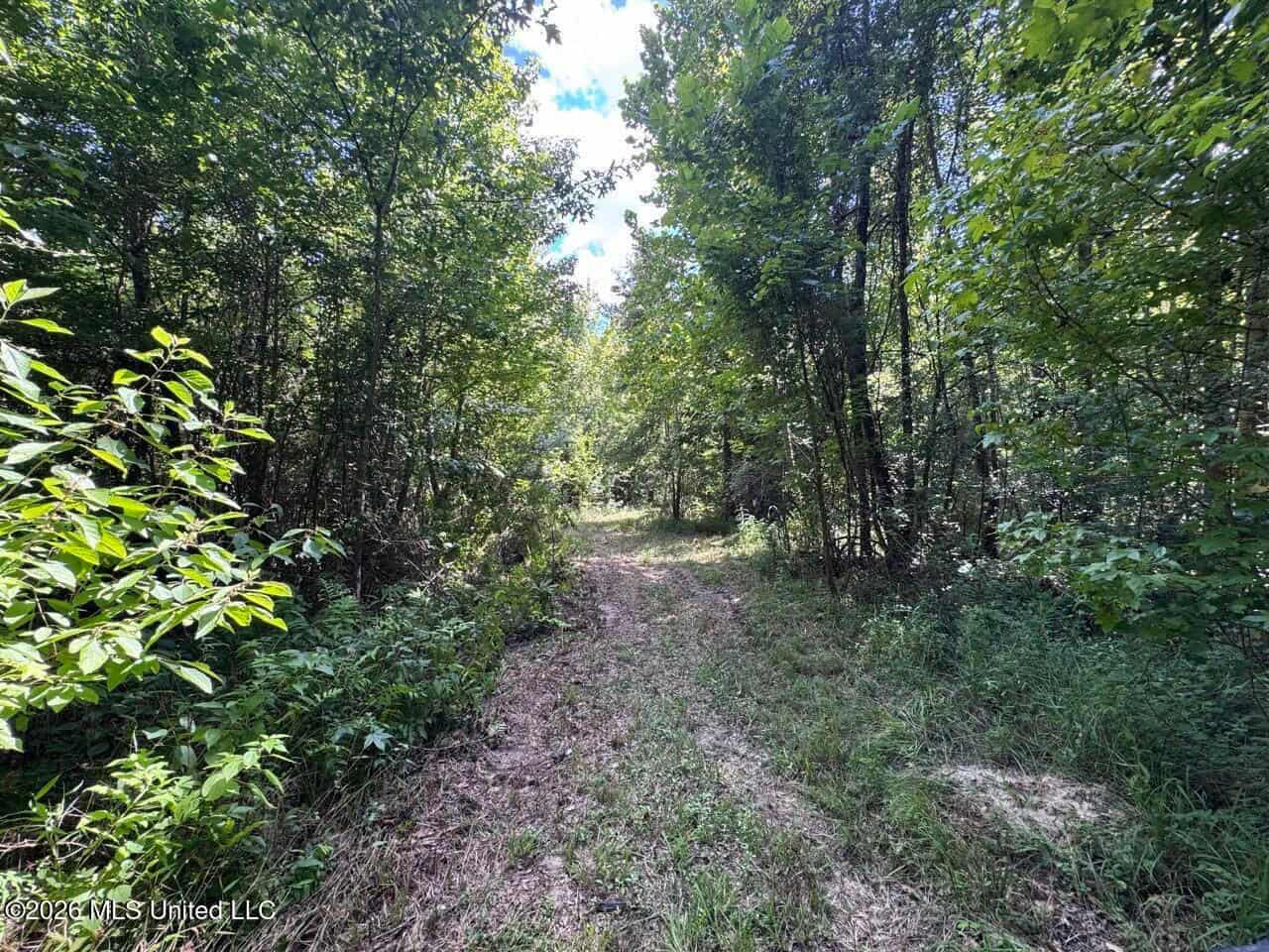 45± Acres in Aimwell, LA with Ford Creek Frontage