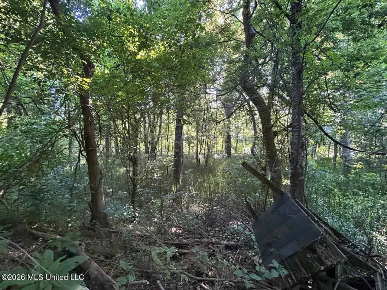 Second Union Hunting Club in Natchez, Mississippi