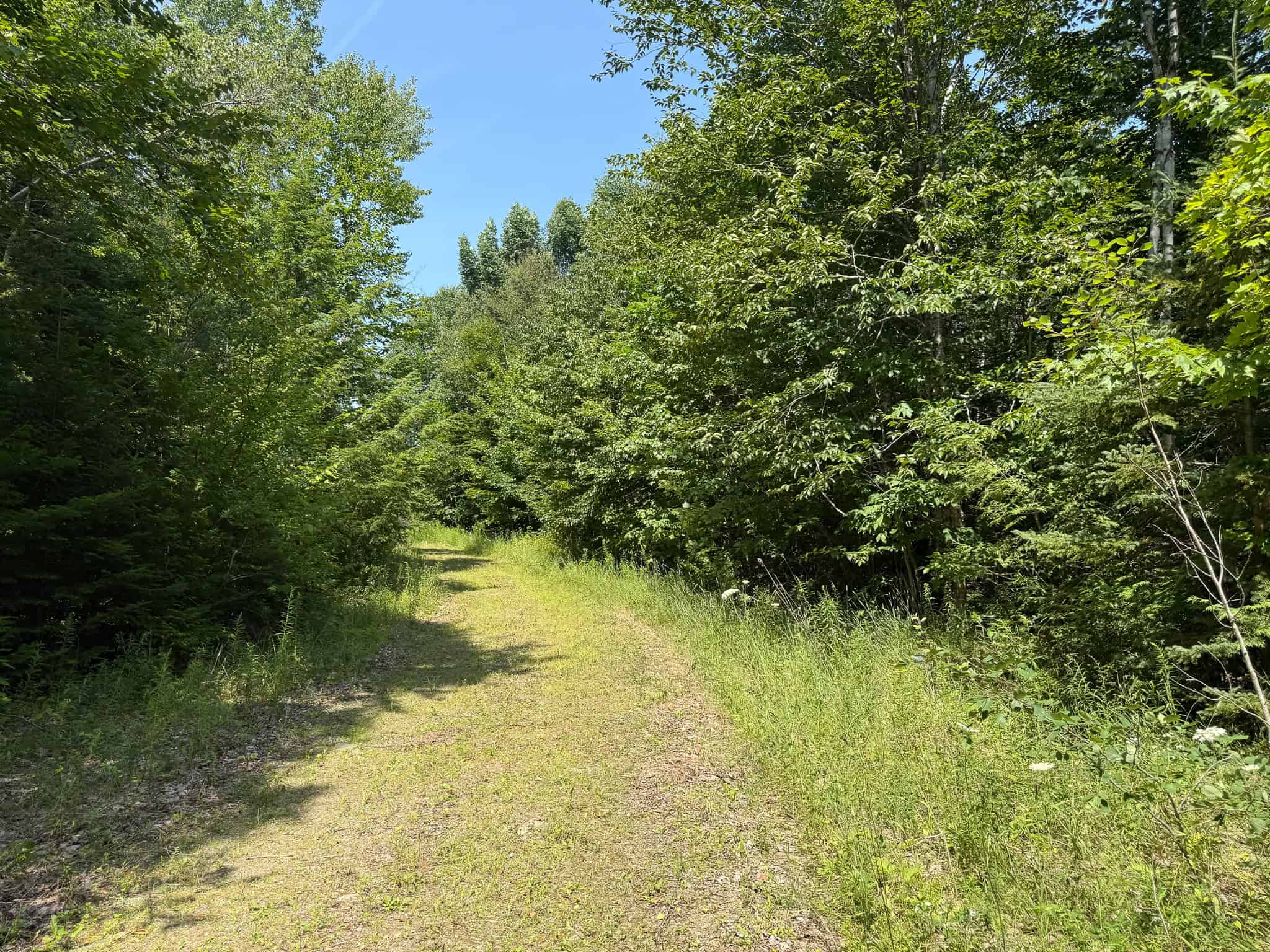 51.2 Acres & Private Cabin in the Maine Woods