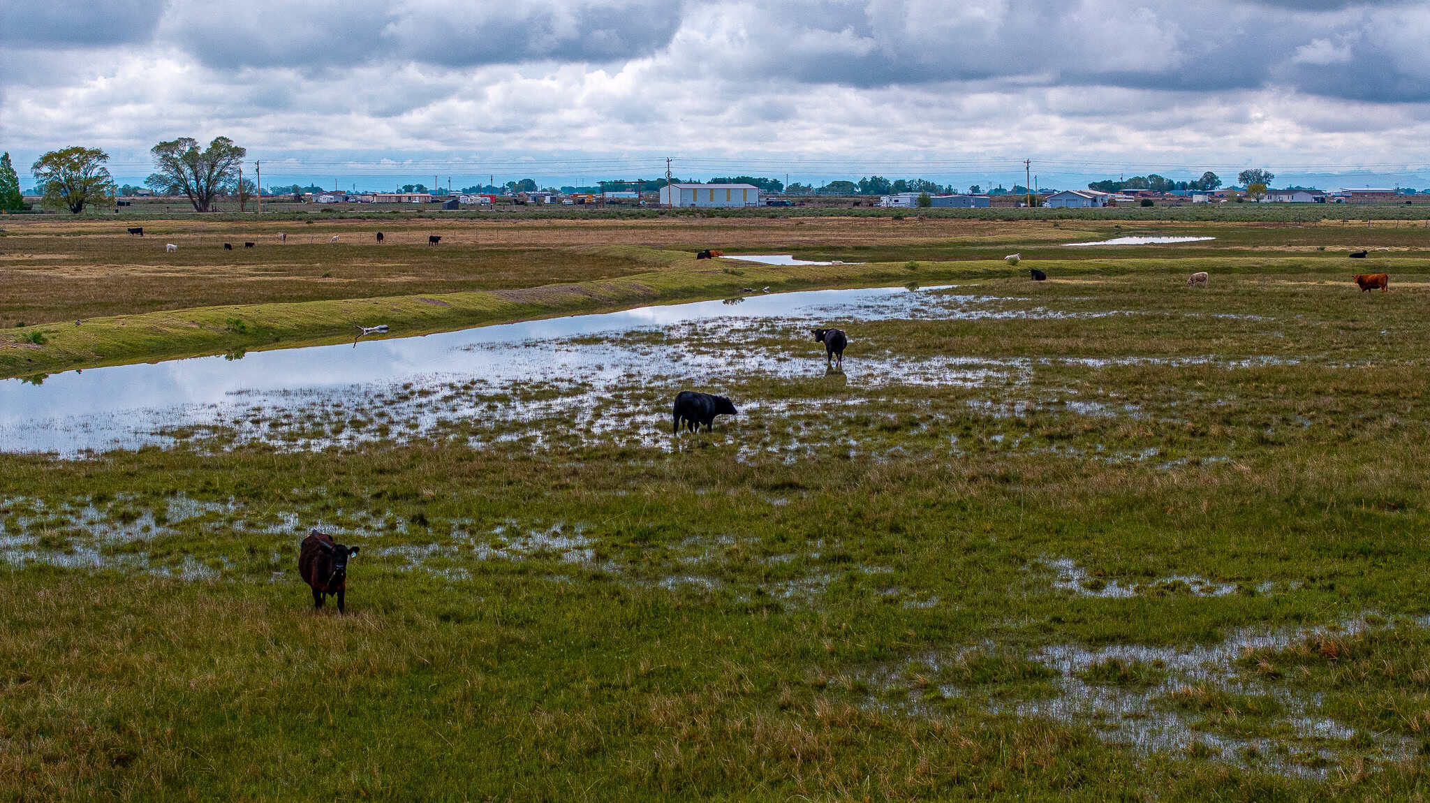Colorado Alfalfa Farm and Waterfowl Duck Hunting Property