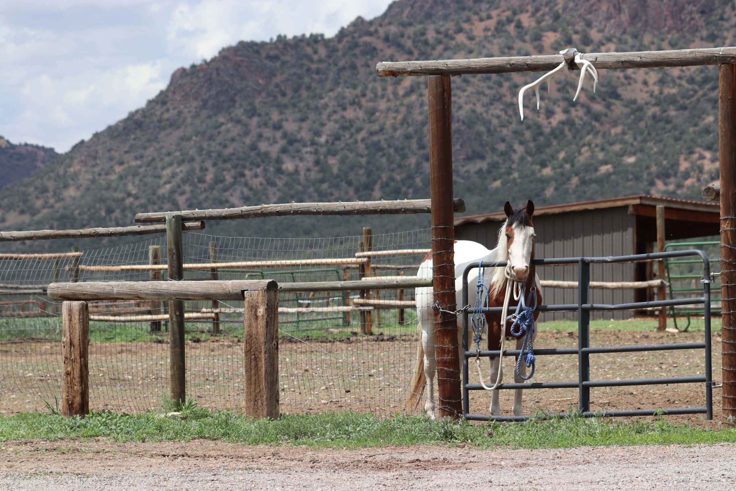 Colorado Horse Property with Multiple Homes & Irrigated Land